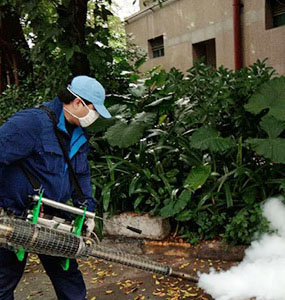 灭除蟑螂要注意哪些地方?